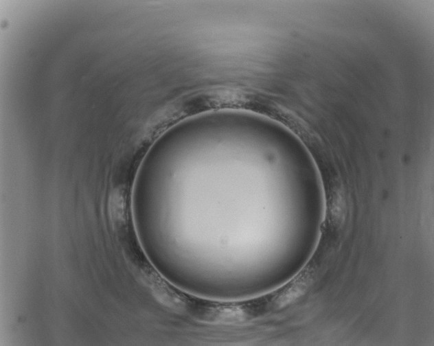 X0000062930715200601181309