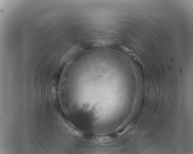 X0000062930716200601181309