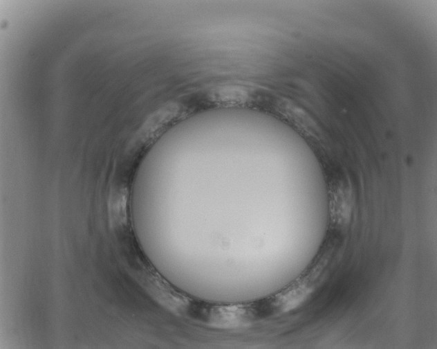 X0000062930717200601181309