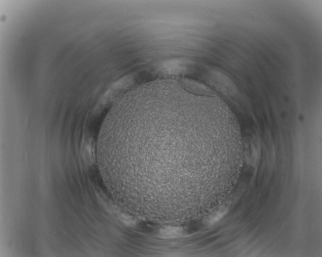 X0000062930718200601181309