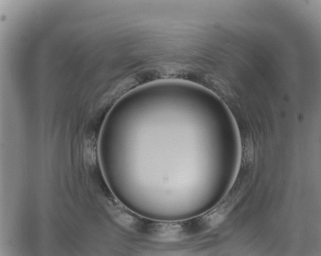 X0000062930719200601181309