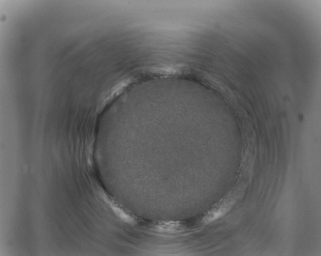 X0000062930720200601181309