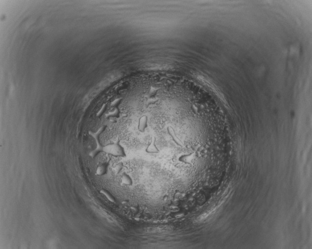 X0000062930721200601181309