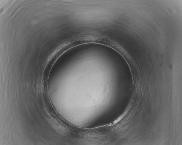 X0000062930722200601181309