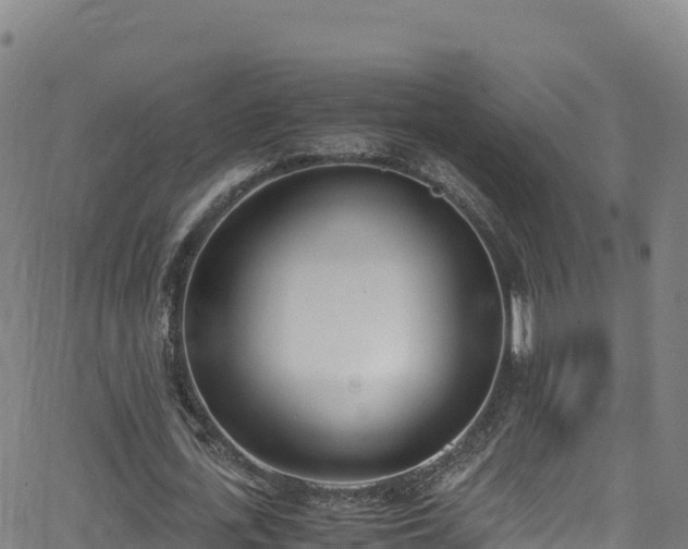 X0000062930723200601181309