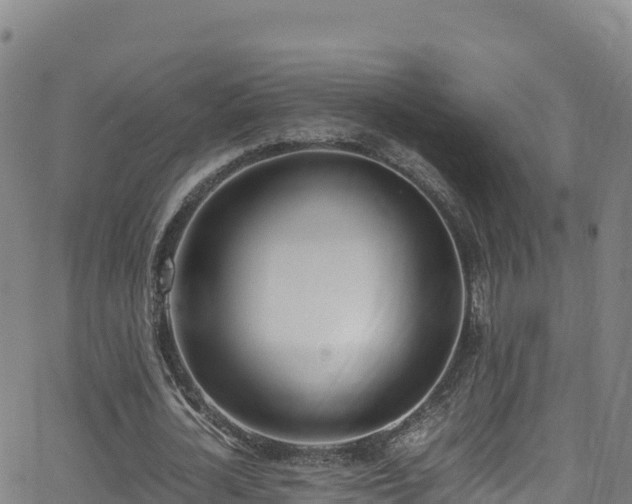 X0000062930724200601181309