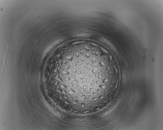 X0000062930725200601181309