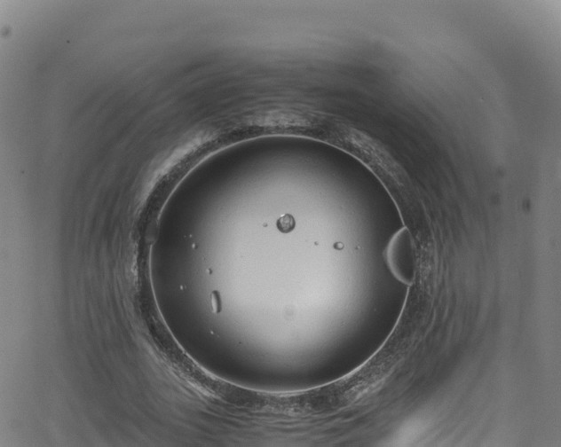 X0000062930727200601181309