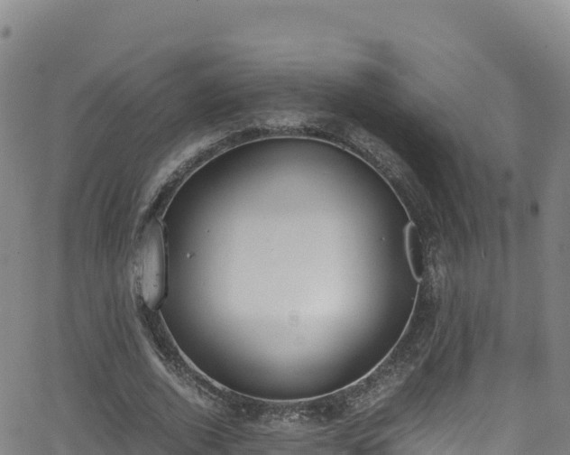 X0000062930728200601181309