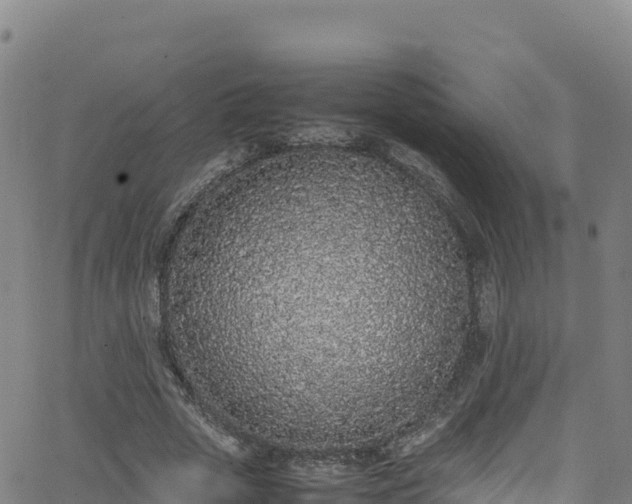 X0000062930729200601181309