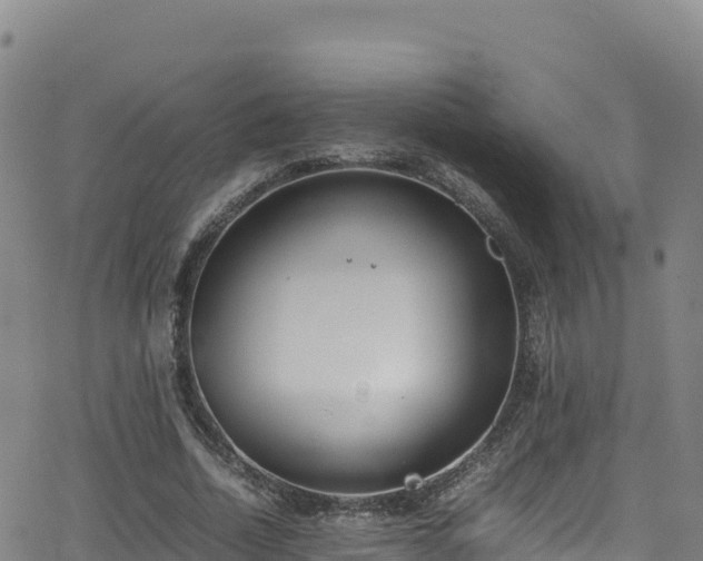 X0000062930730200601181309