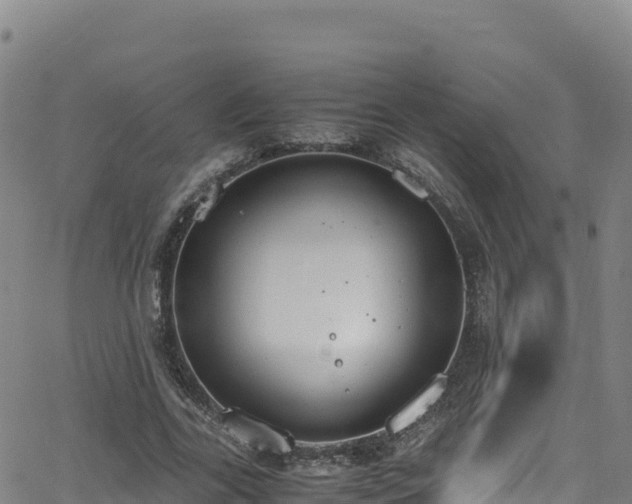 X0000062930731200601181309