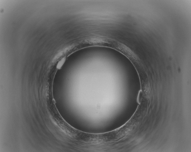 X0000062930732200601181309