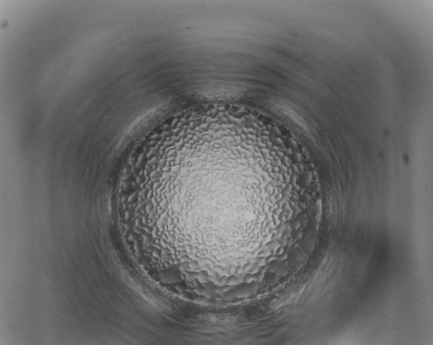 X0000062930733200601181309