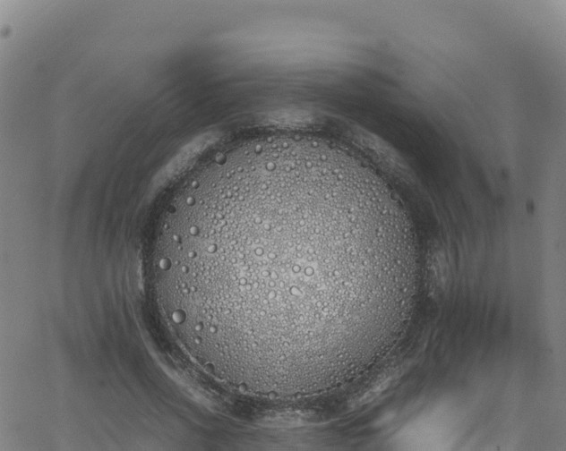 X0000062930734200601181309