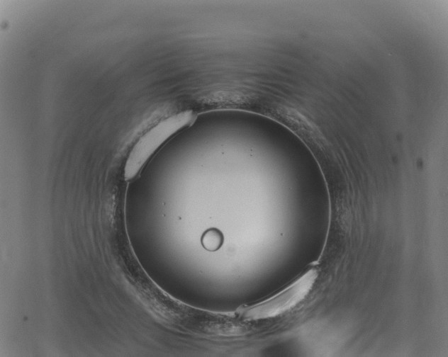 X0000062930735200601181309