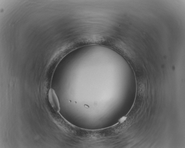 X0000062930736200601181309