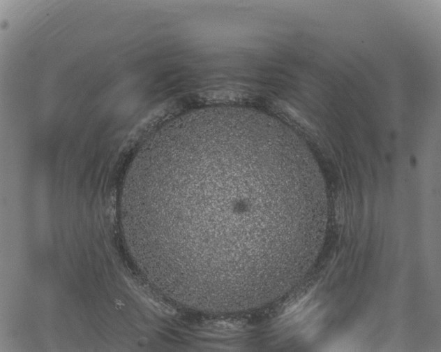 X0000062930737200601181309