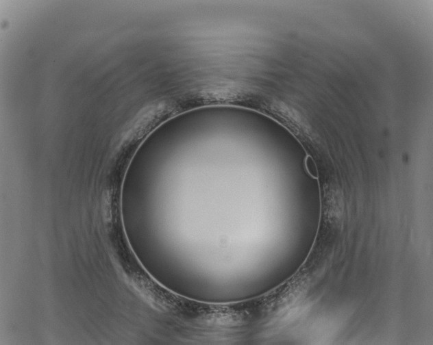 X0000062930738200601181309