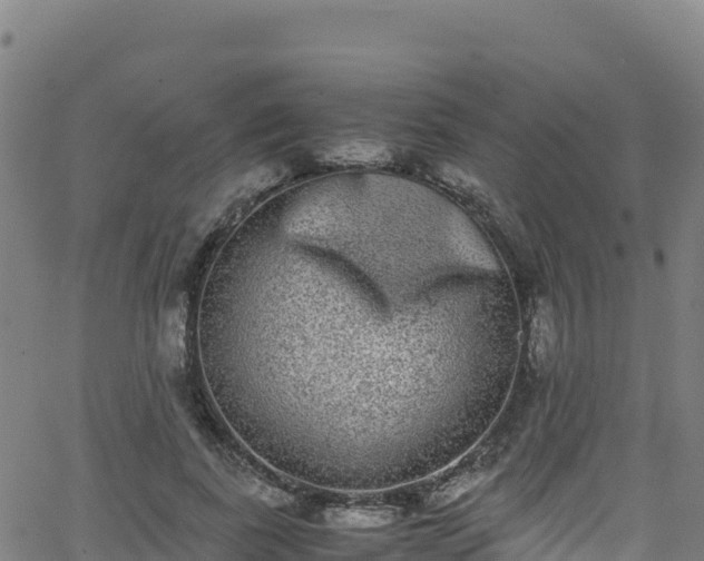 X0000062930739200601181309