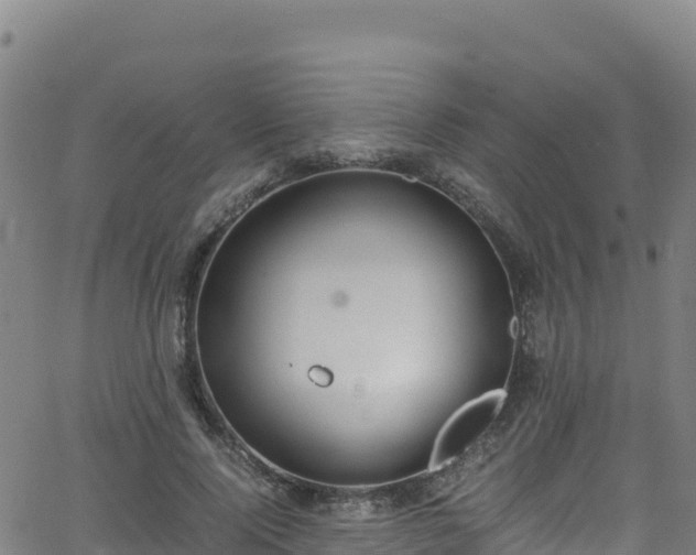 X0000062930740200601181309