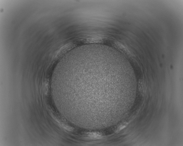 X0000062930741200601181309