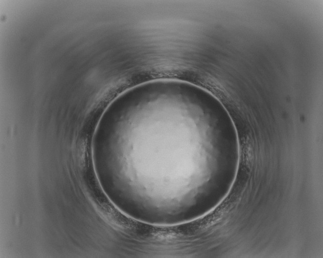 X0000062930742200601181309