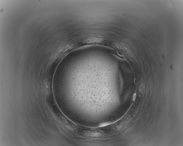 X0000062930743200601181309