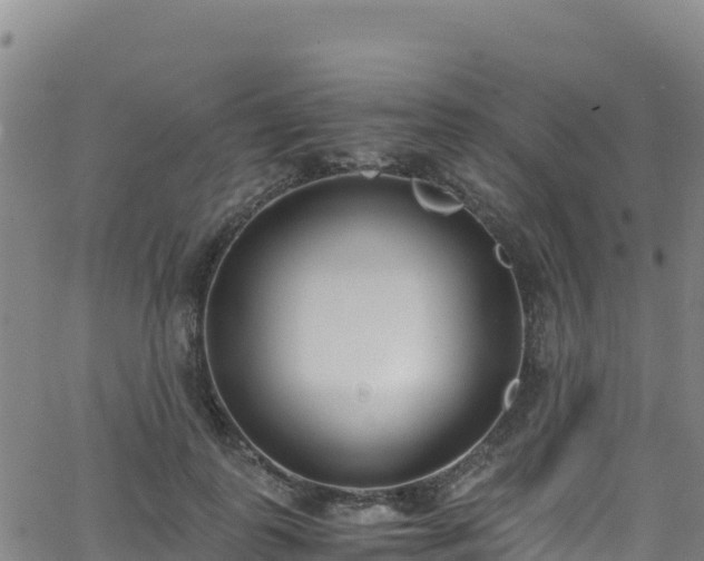 X0000062930747200601181309