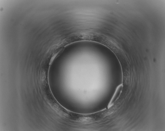 X0000062930748200601181309