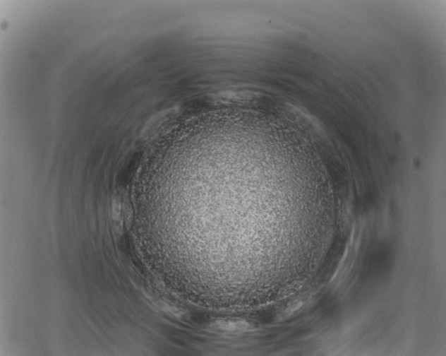 X0000062930749200601181309