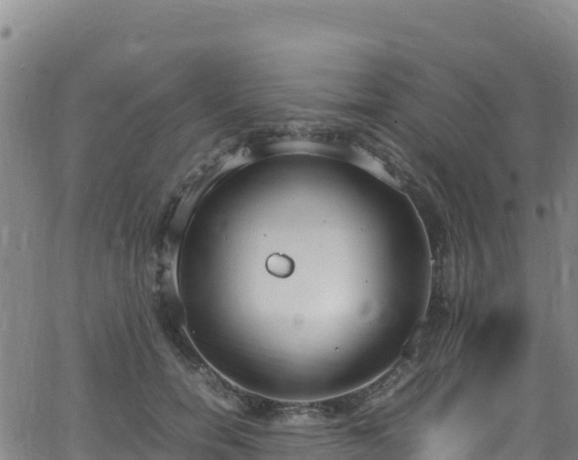 X0000062930750200601181309