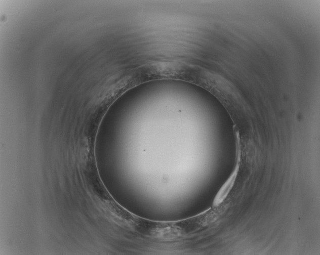 X0000062930752200601181309