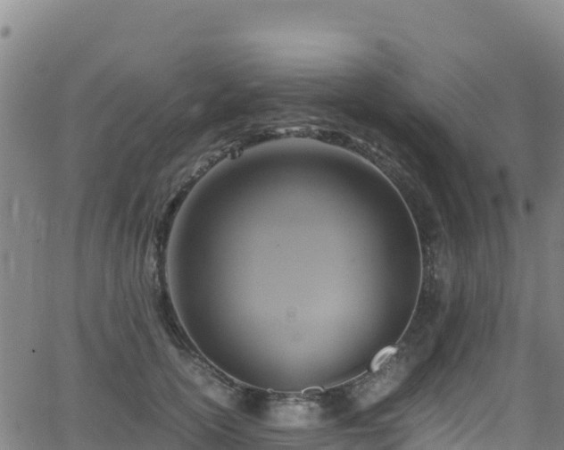 X0000062930754200601181309