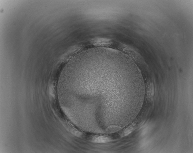 X0000062930755200601181309