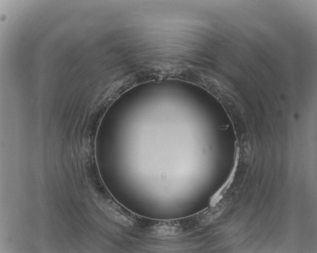 X0000062930756200601181309