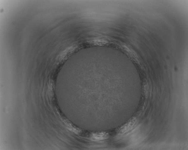 X0000062930757200601181309