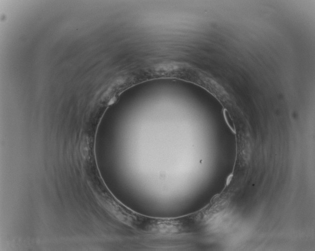 X0000062930758200601181309