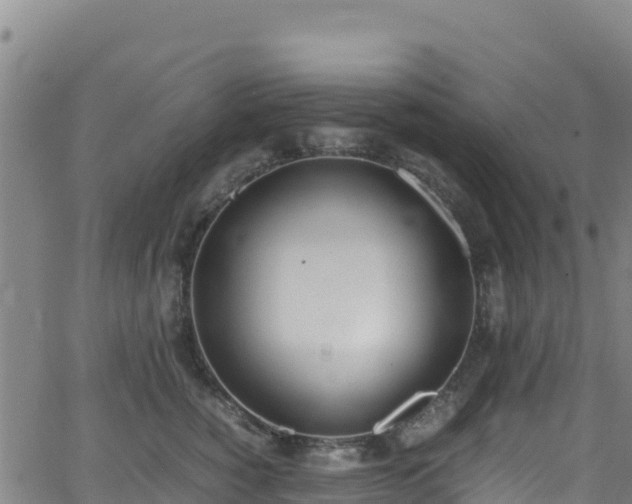 X0000062930760200601181309