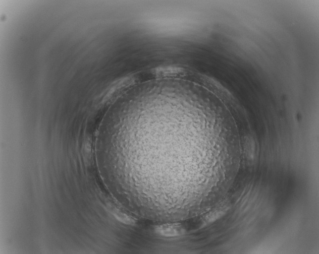 X0000062930761200601181309