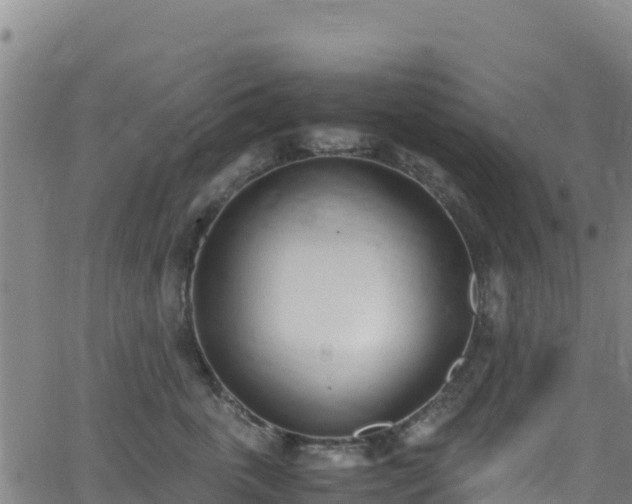 X0000062930763200601181309