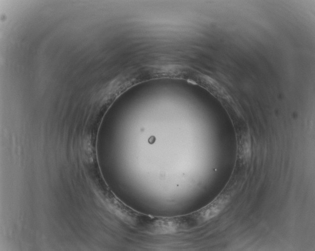 X0000062930764200601181309