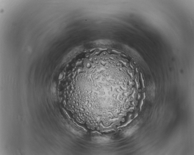 X0000062930765200601181309