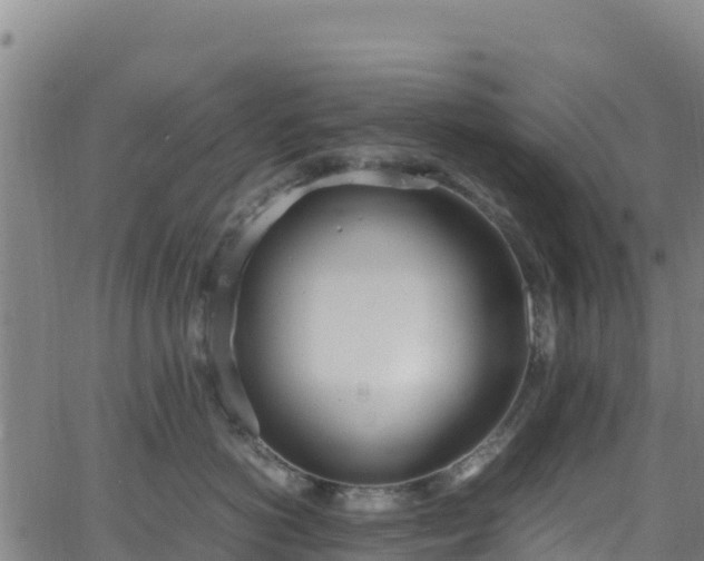 X0000062930766200601181309