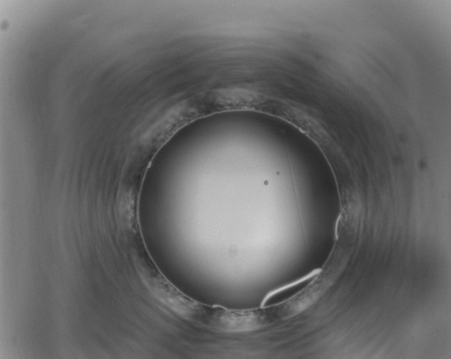 X0000062930767200601181309