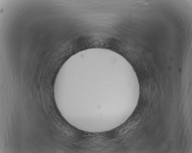 X0000062930769200601181309