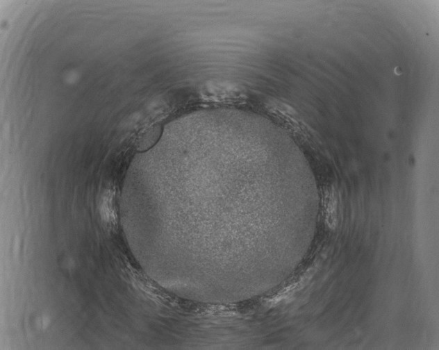 X0000062930770200601181309