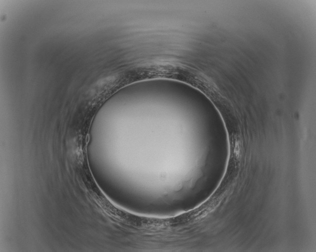 X0000062930771200601181309