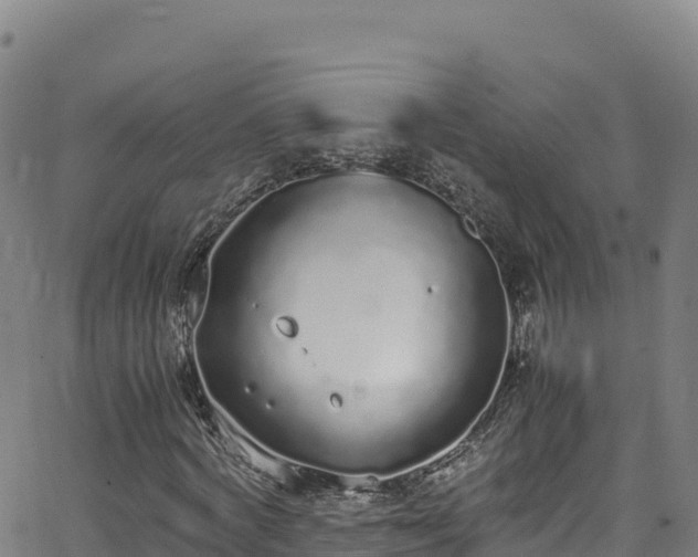 X0000062930772200601181309