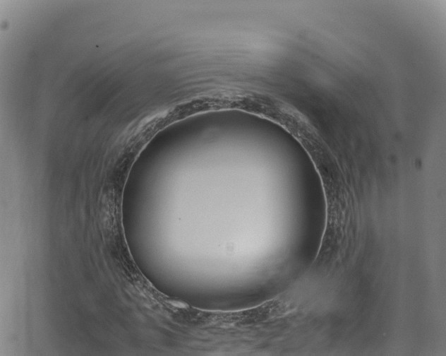 X0000062930773200601181309